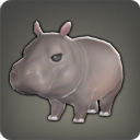 Bébé hippo