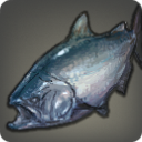 Bluebell Salmon