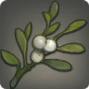 Dravanian Mistletoe