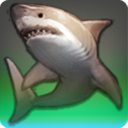 Dusk Shark
