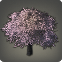 Fernöstlicher Kirschbaum