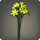 Bouquet de triteleia jaunes