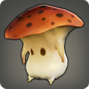 Fungus miniature