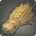 Gyr Abanian Wheat