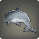 Bébé dauphin