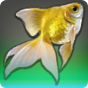 Imperial Goldfish