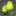 Champignon bioluminescent de dilettante