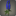 Bouquet de lupins bleus