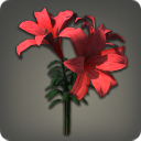 Red Brightlilies