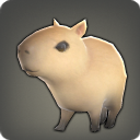Capybara-Jungtier