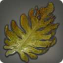新星産の海藻