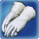 Hinterländische Präzeptoren-Handschuhe