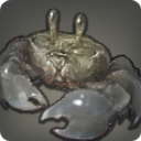 Crabe de Grymm