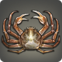 Tortoiseshell Crab