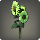 Green Sunflowers