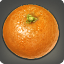 Navel Orange