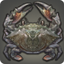 Crabe géant de Kholusia