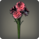 Bouquet de centaurées rouges