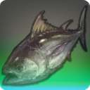Hai-Thunfisch