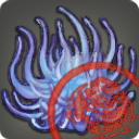 Inspizierte blaue Federfall-Medusa