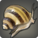 净骨蜗牛