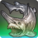 Requin-lame allagois
