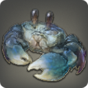 Crabe orfèvre de restauration (4e phase)