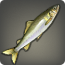 Cexudross Fish