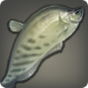 Bowfish