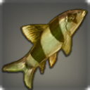 Thick-boned Fish