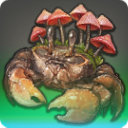 魔幻蘑菇蟹