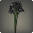 Bouquet de triteleia noirs