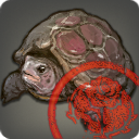 Inspizierte Himmelsang-Landschildkröte