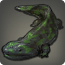 Voeburt Salamander