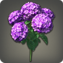 Bouquet d[@SC]hortensias violets