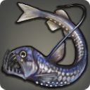 Satrap Trapfish