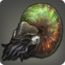 Nautilus-Ammonit