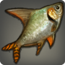 Meteorfish