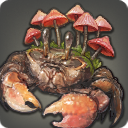 Crabe champignon