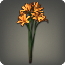 Bouquet de triteleia orange
