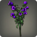 Violette Glockenblumen