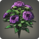 Roses anciennes violettes