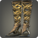 ミソスヘラルド・カリガ