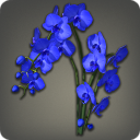 Orchidées papillons bleues