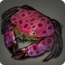 Ruby-spotted Crab