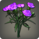 Bouquet d[@SC]œillets violets