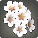 Barrette fleurs de cerisier blanches