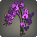 Orchidées papillons violettes