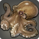 Usuginu Octopus