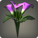 Bouquet de callas violettes